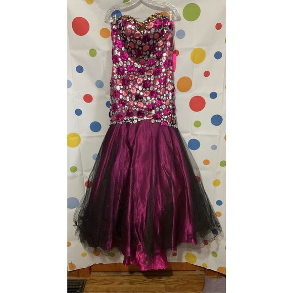 NWT Blush Prom By Alexia NEW Formal Ball Gown Size 6 🍒🌿 - Picture 1 of 16